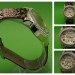 FASH600w-R466-2