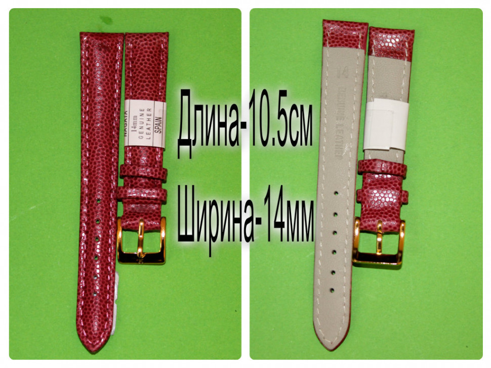 RNAG180w-R296-5