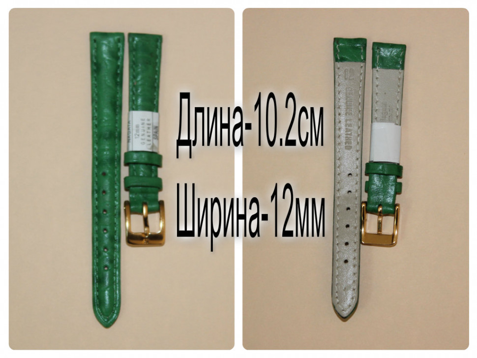 RNAG180w-R297-1