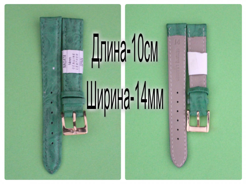 RNAG180w-R297-2