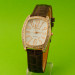 Fash385w-R516